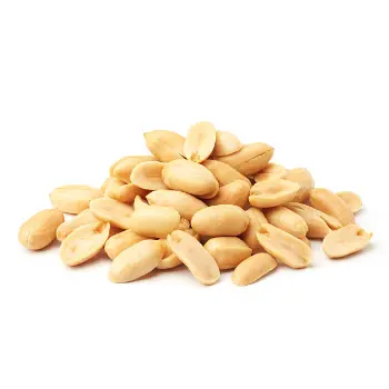 Organic Groundnut Seeds